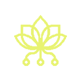 Pollinations